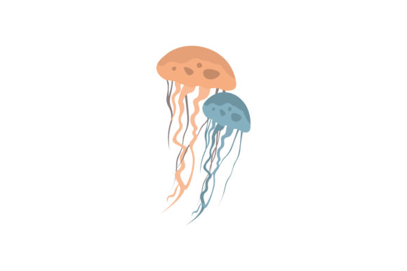 Jellyfish Illustrations Realis Vector: Graphics & Illustrations Review